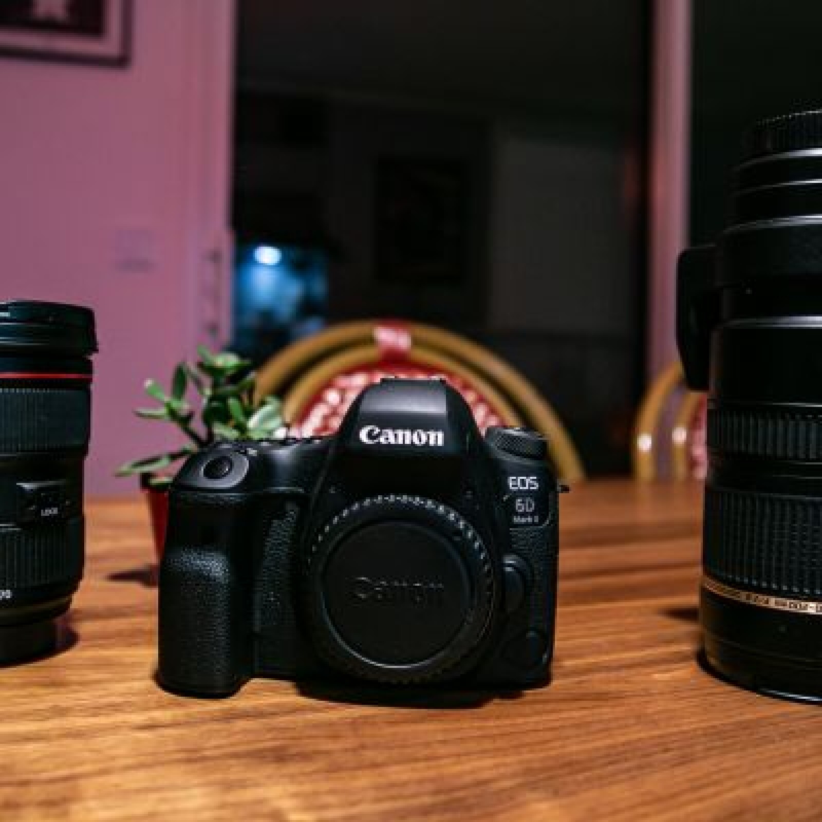 Canon 6D Mark II + accessoires - Photo 2 sur 3