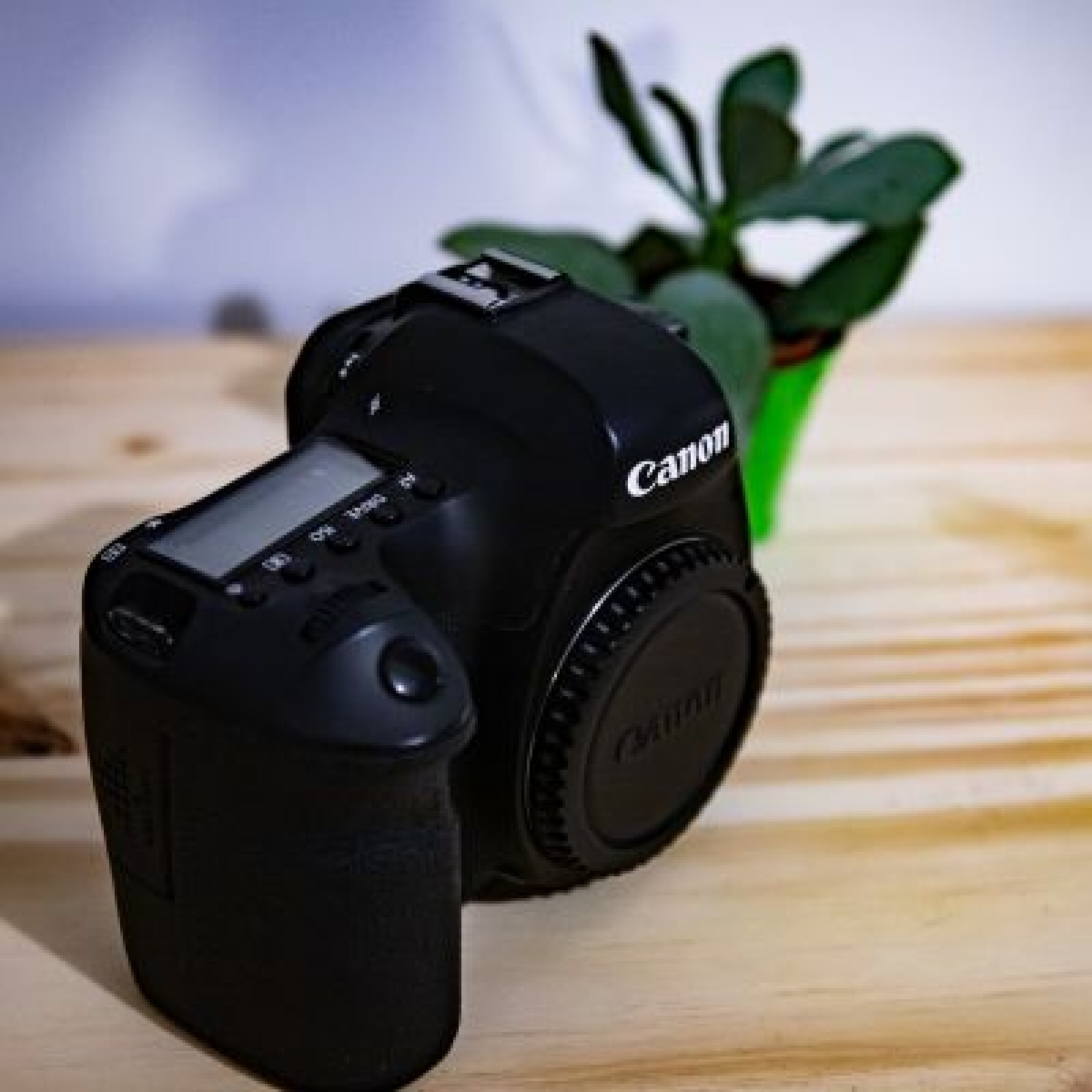Canon 6D + accessoires - Photo 3 sur 4