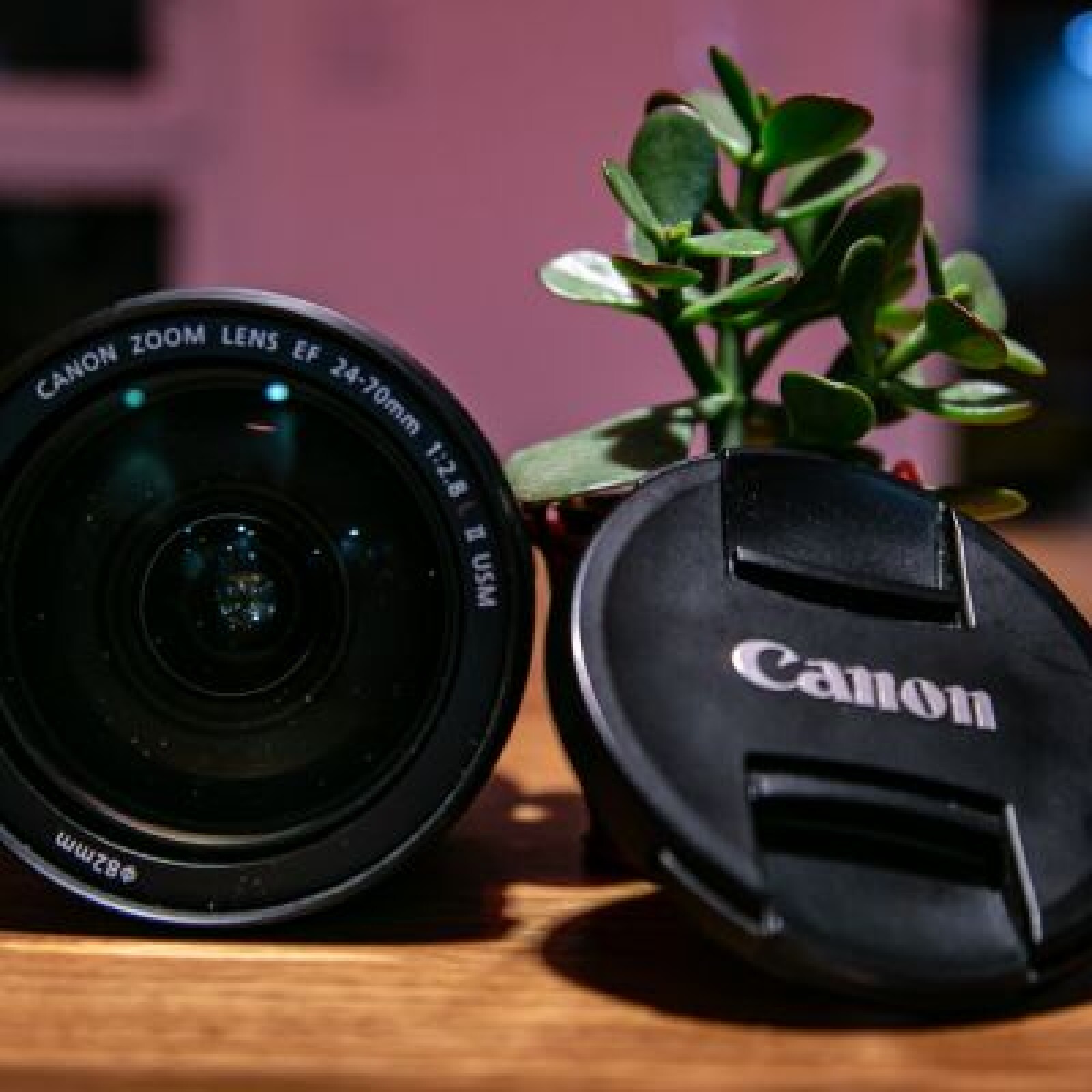 CANON EF 24-70 mm f/2.8L II USM - Photo 2 sur 2