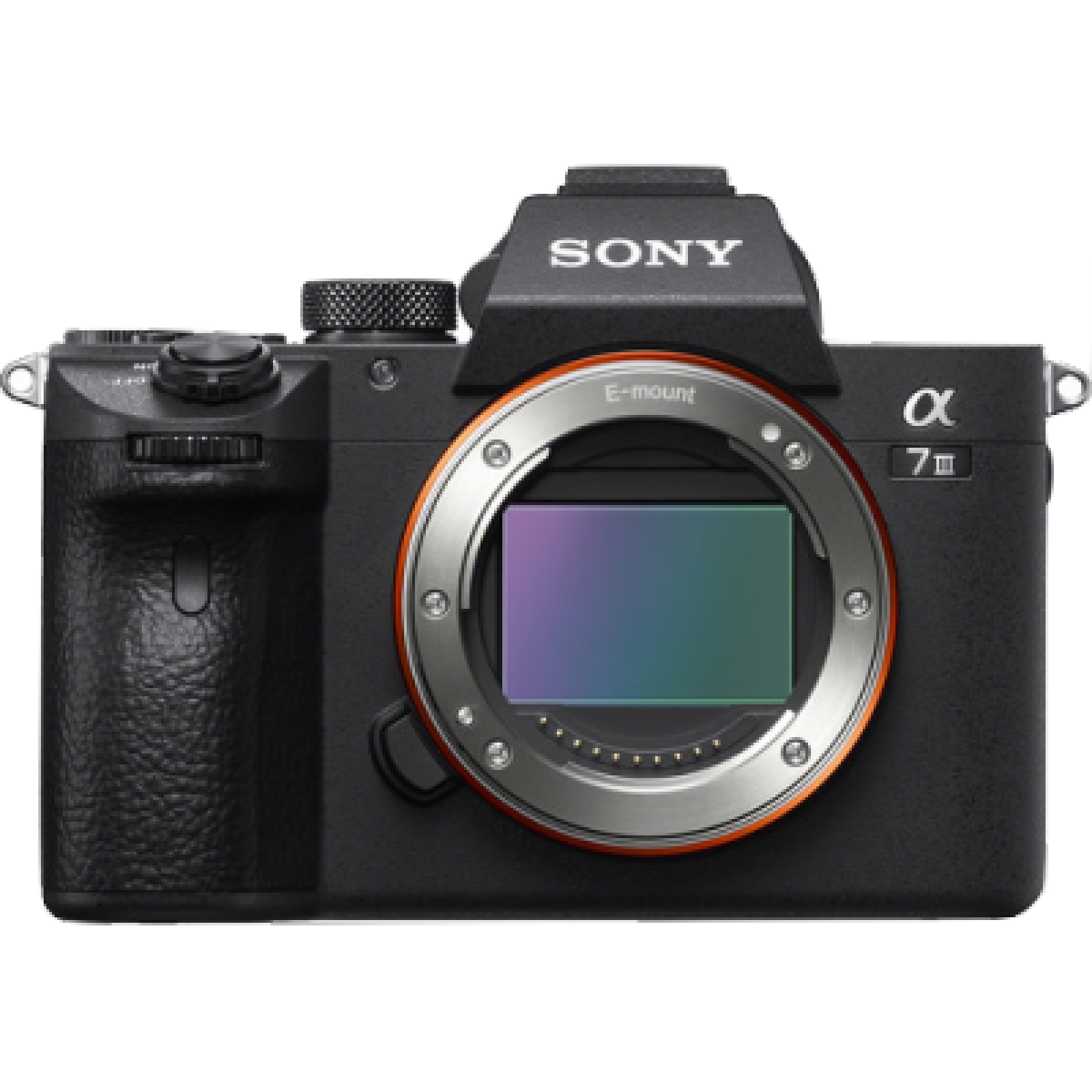 Sony A7 III - Photo 1 sur 5