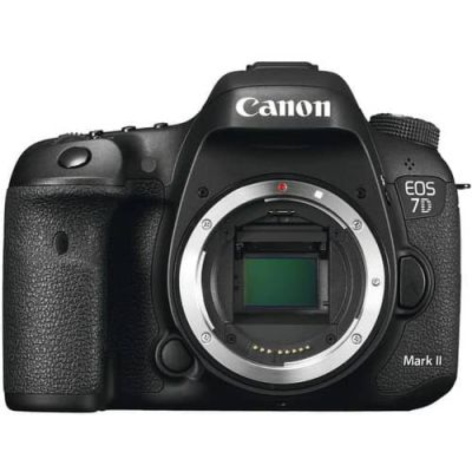 Canon 7D Mark II - Photo 1 sur 4