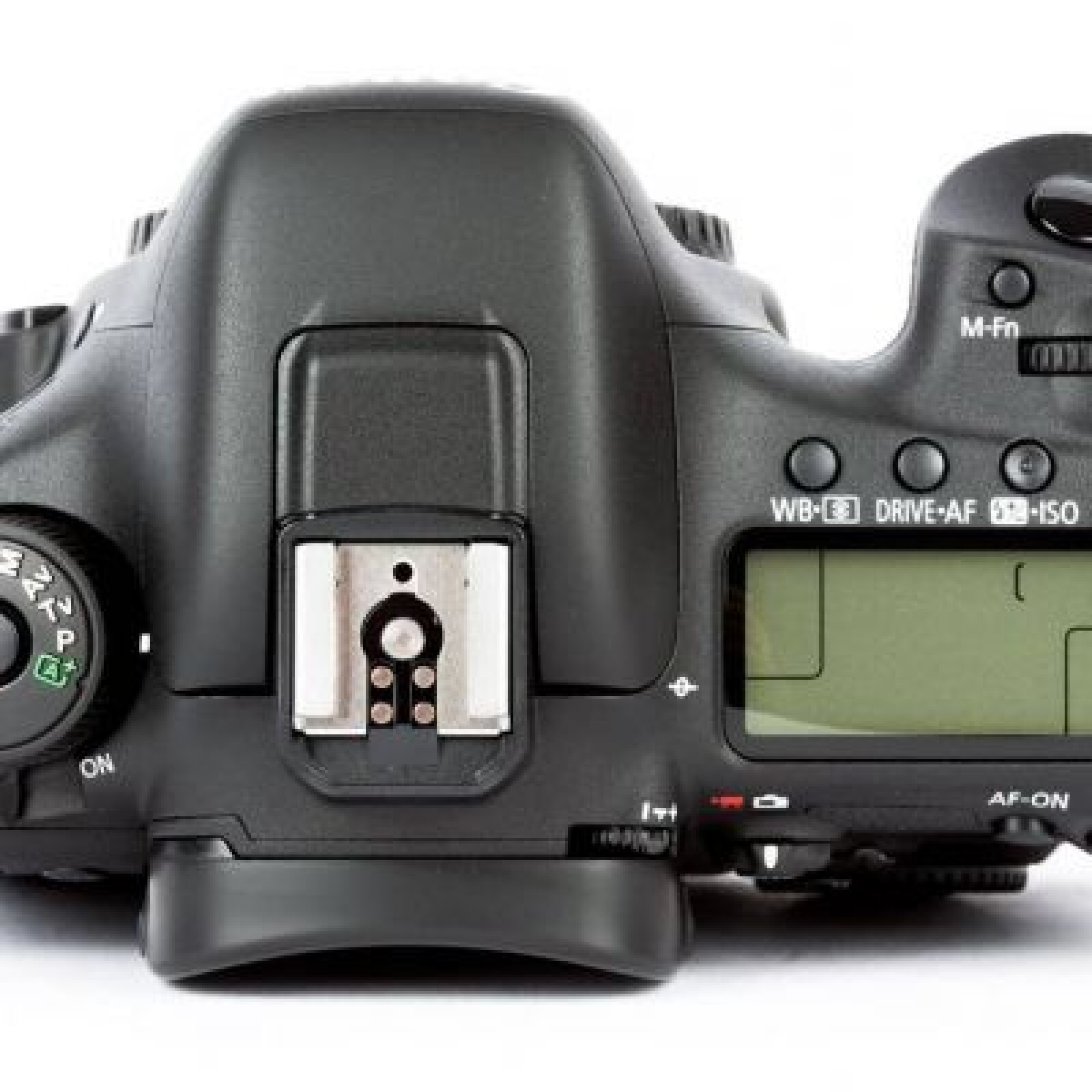 Canon 7D Mark II - Photo 3 sur 4