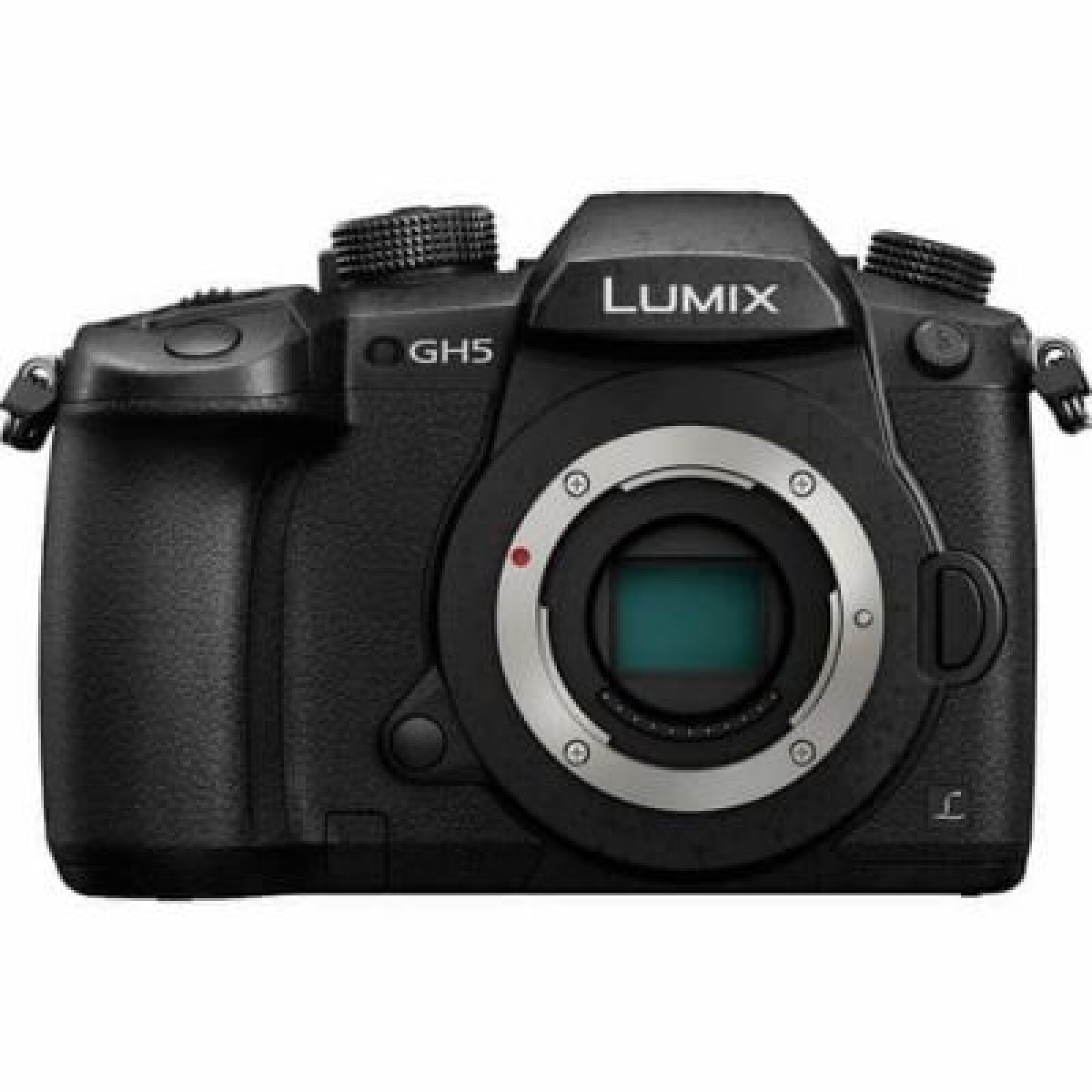 Panasonic Lumix DMC-GH5 - Photo 1 sur 3