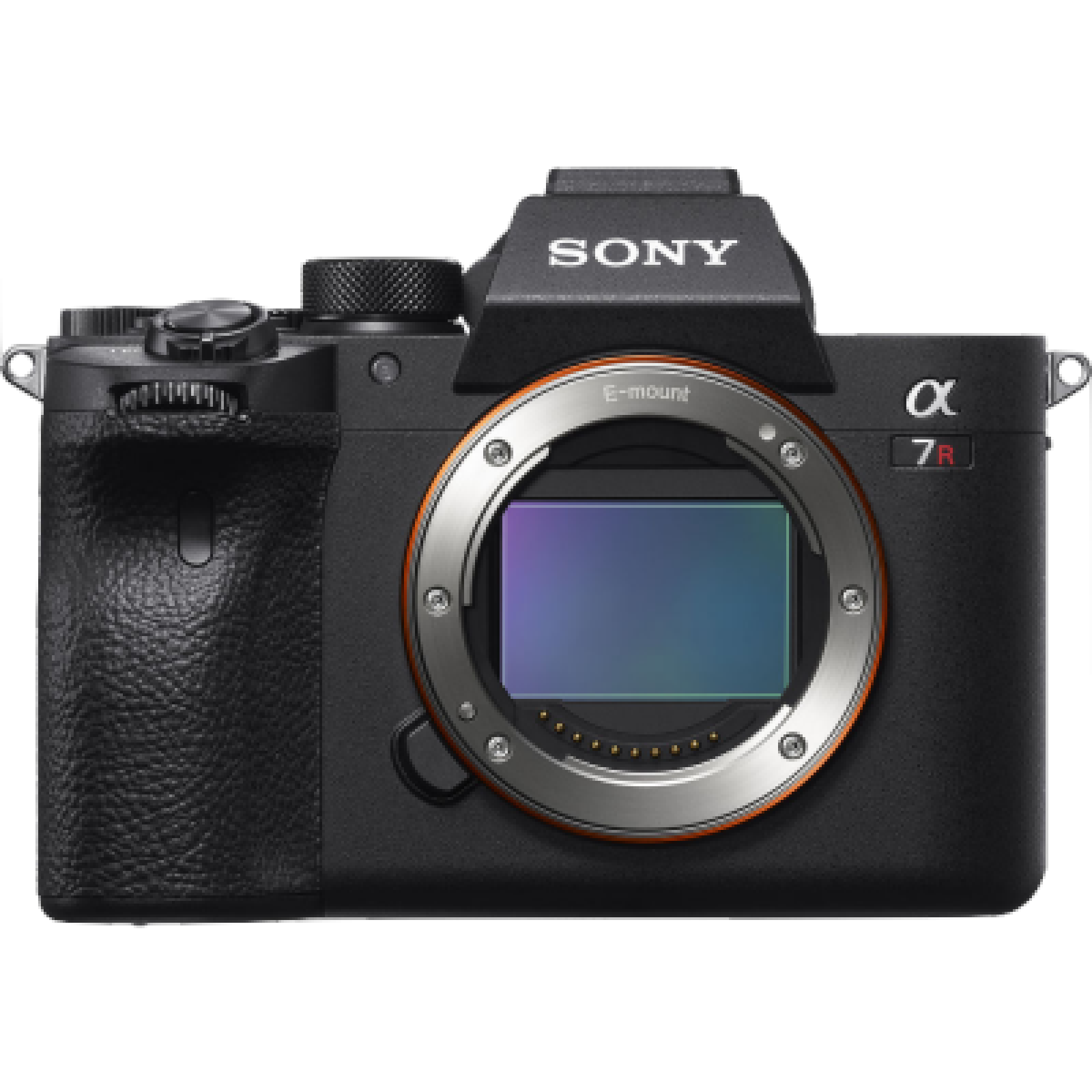 Sony Alpha 7R IV - Photo 1 sur 5