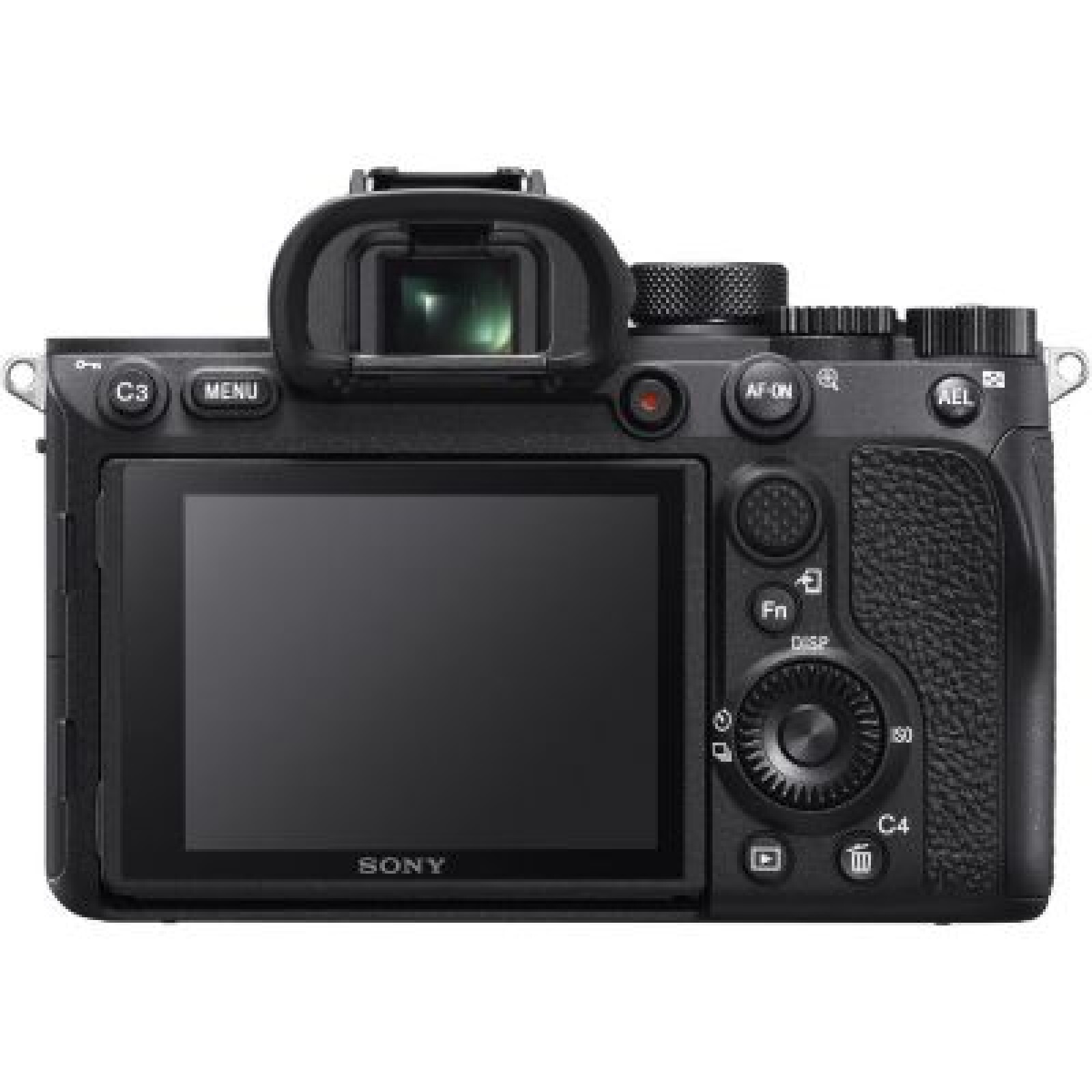 Sony Alpha 7R IV - Photo 2 sur 5