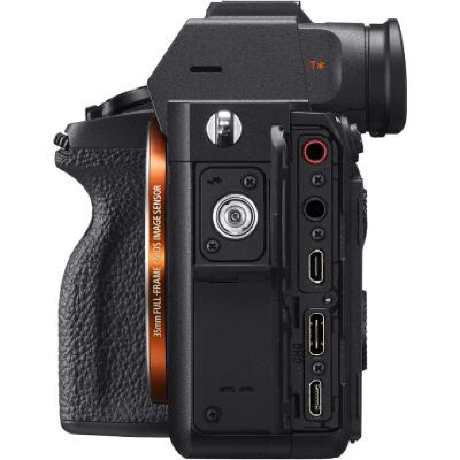 Sony Alpha 7R IV - Photo 4 sur 5