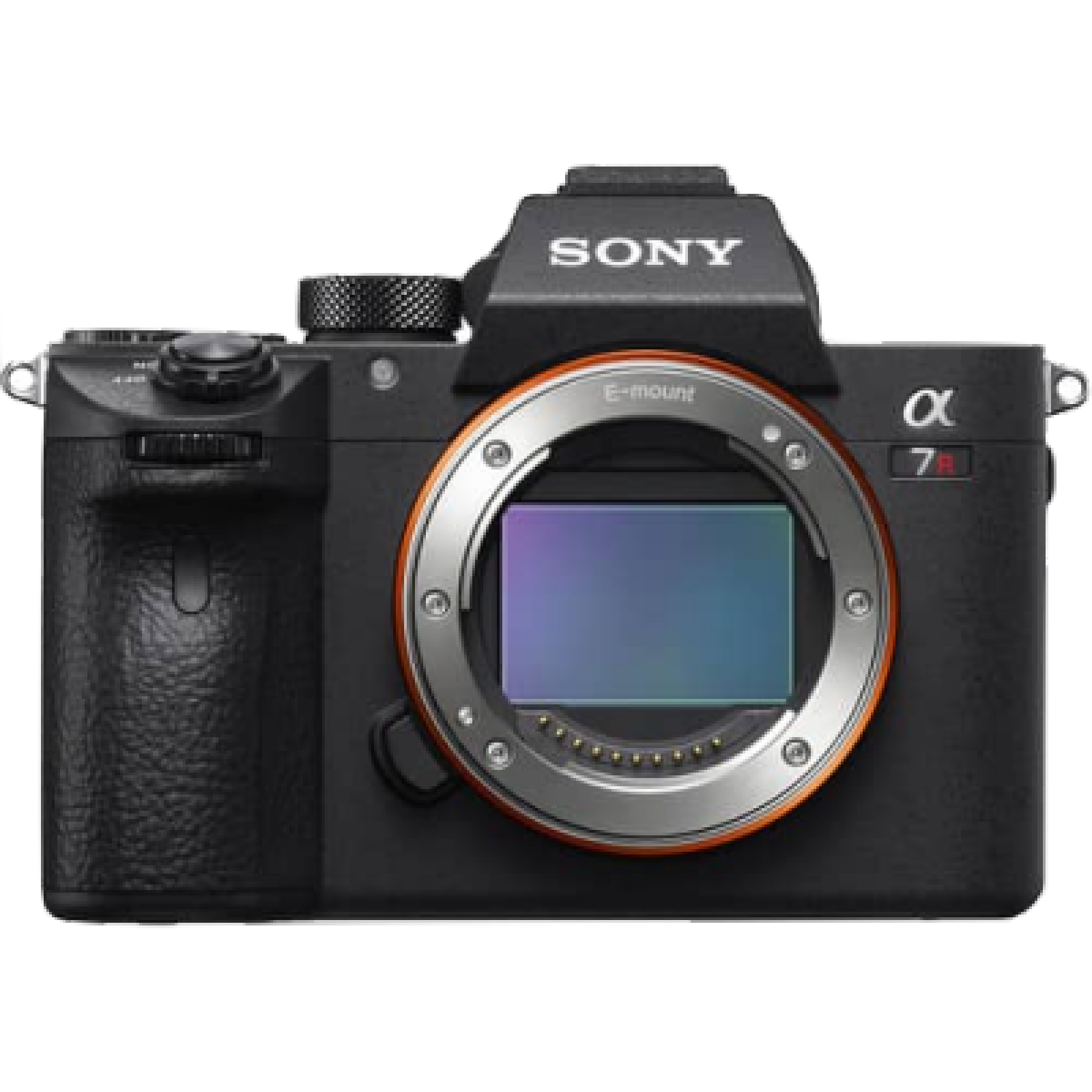 Sony Alpha A7R III - Photo 1 sur 5