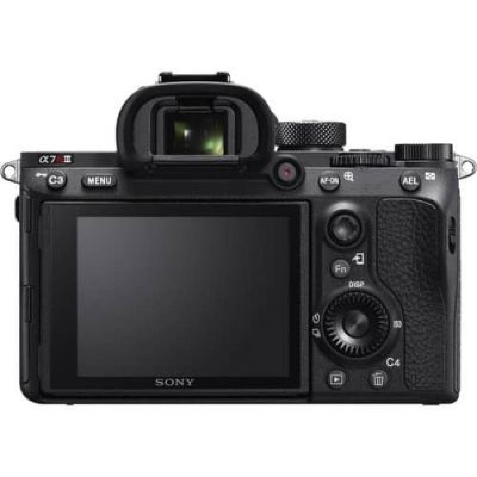 Sony Alpha A7R III - Photo 2 sur 5