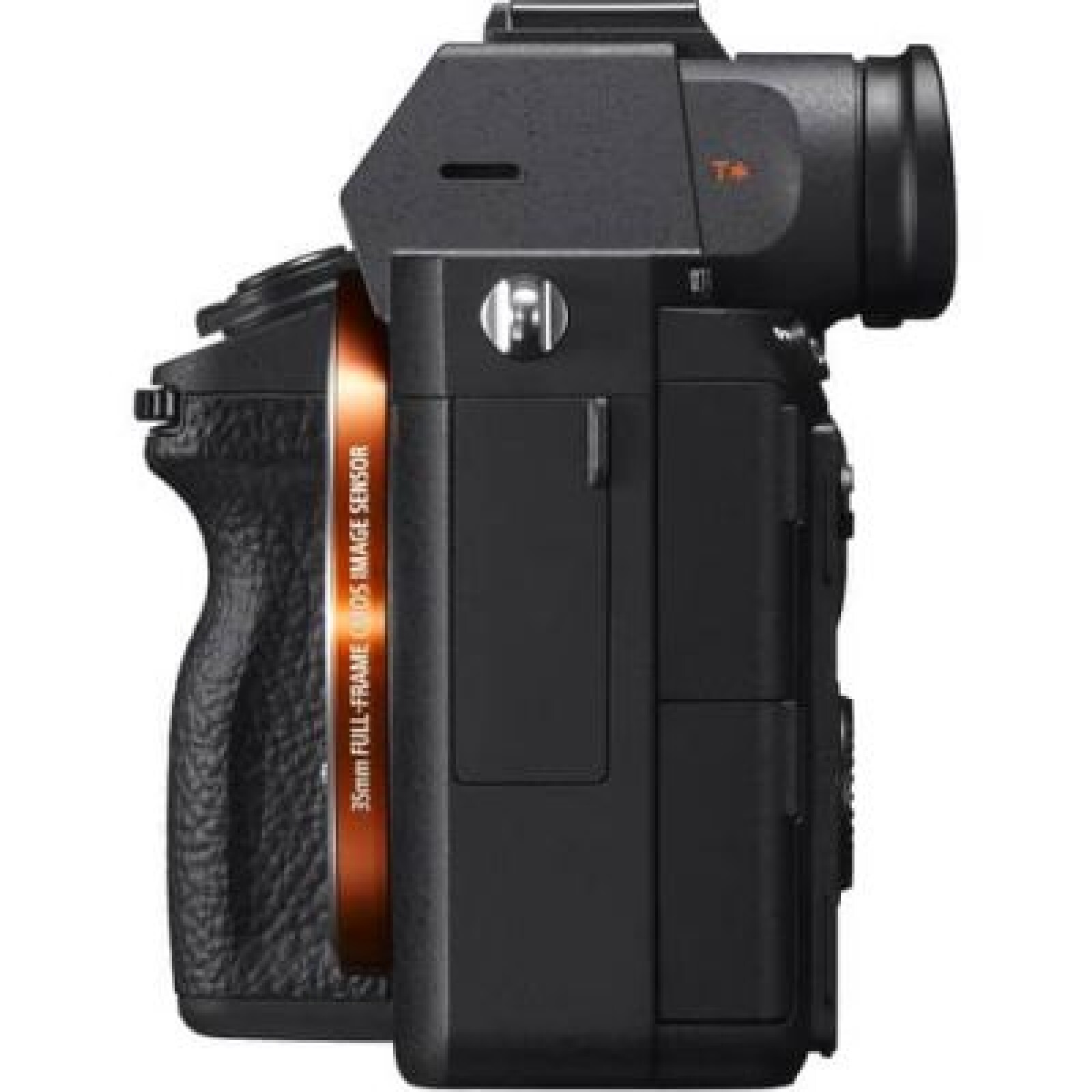 Sony Alpha A7R III - Photo 5 sur 5