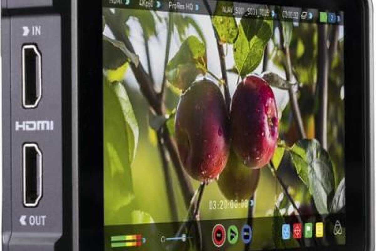 Location ATOMOS NINJA V - Lightyshare
