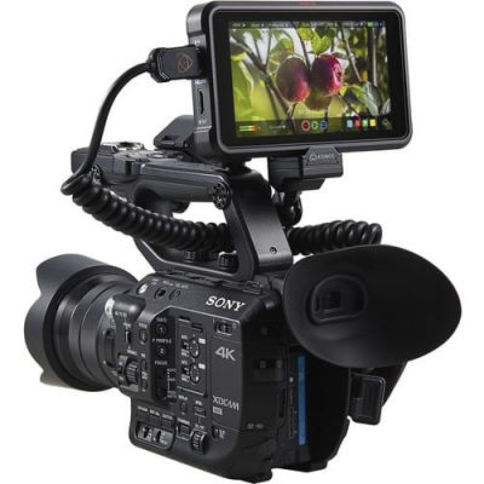 ATOMOS NINJA V - Photo 2 sur 3
