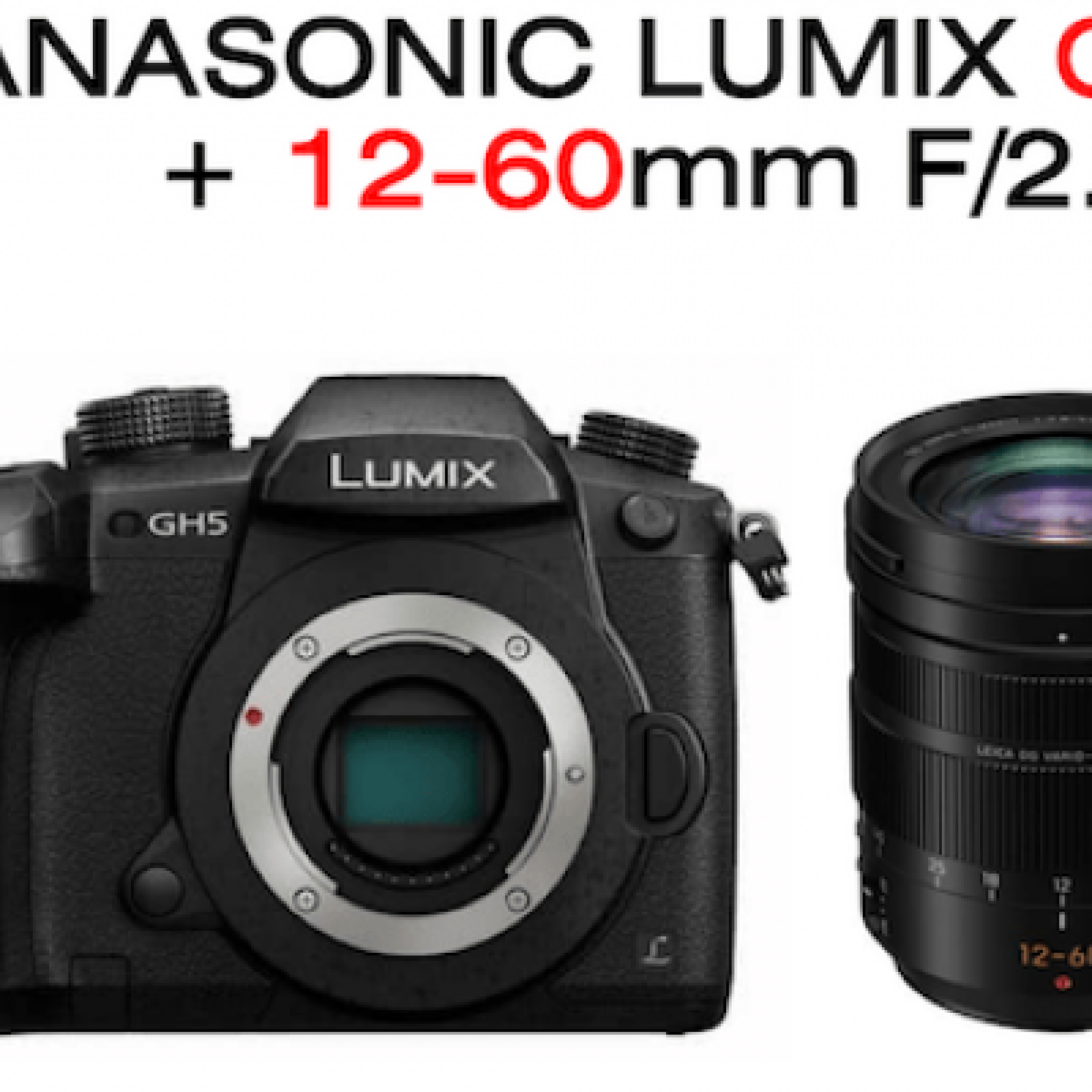 Lumix DMC GH5 + 12-60mm F2.8-4 H-ES Leica OIS - Photo 1 sur 5