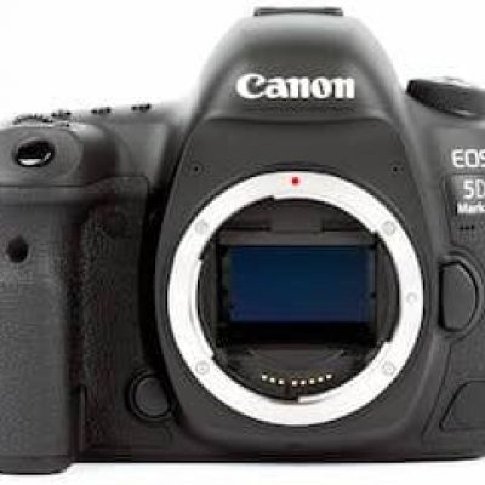 Canon 5D Mark IV - Photo 5 sur 5