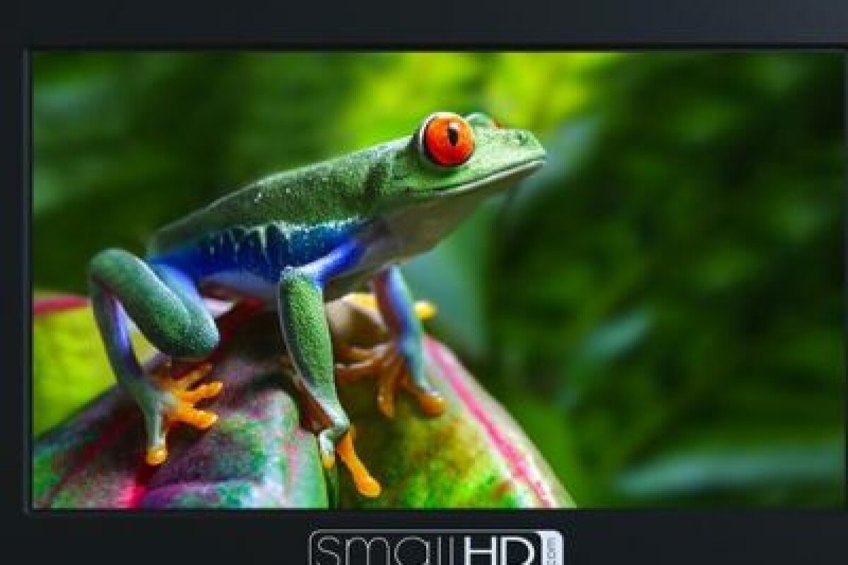 Location SmallHD focus SDI 5" - Lightyshare