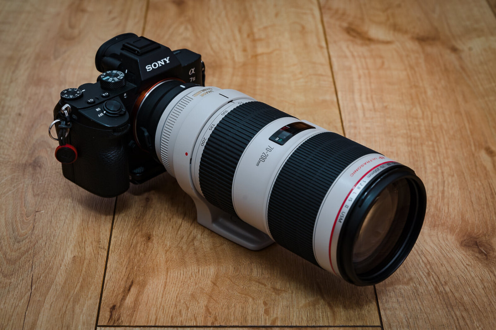 SONY A7III  - Photo 1 sur 1