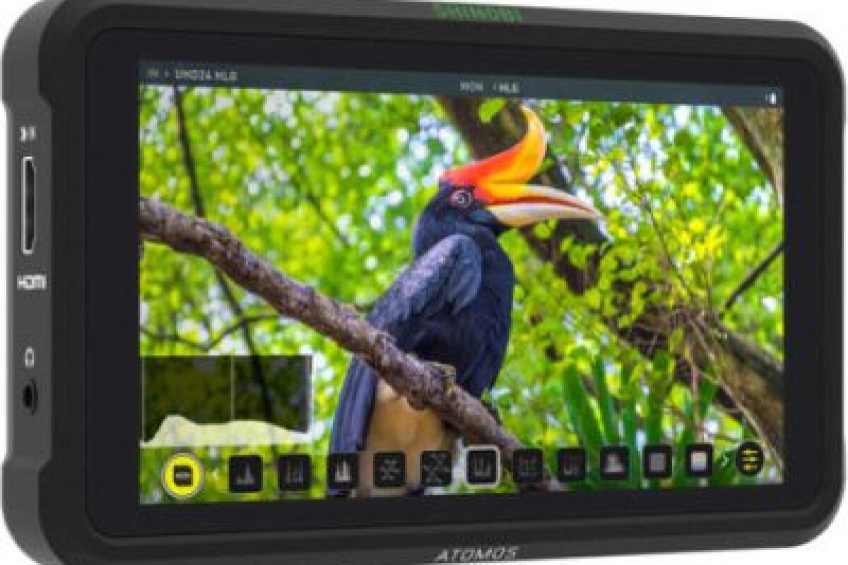 Location Moniteur Atomos Shinobi SDI/HDMI 5 pouces - Lightyshare