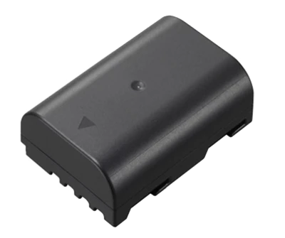 Panasonic DMW-BLF19
