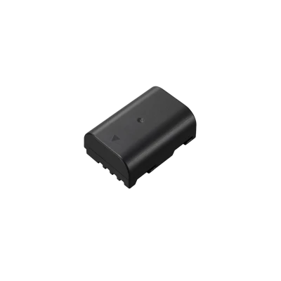 Panasonic DMW-BLF19E