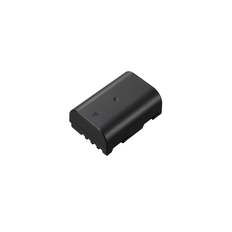 Location Panasonic DMW-BLF19E
