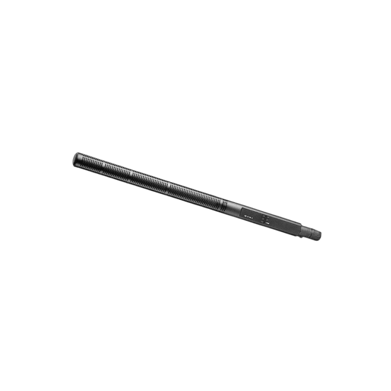 Location Sennheiser MKH 70