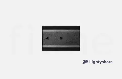 Batterie Panasonic DMW-BLF19