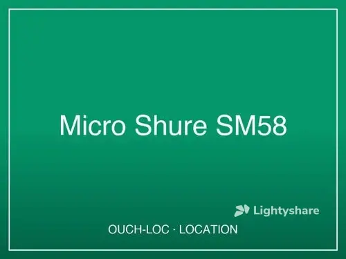 Location Micro Shure SM58 - Lightyshare