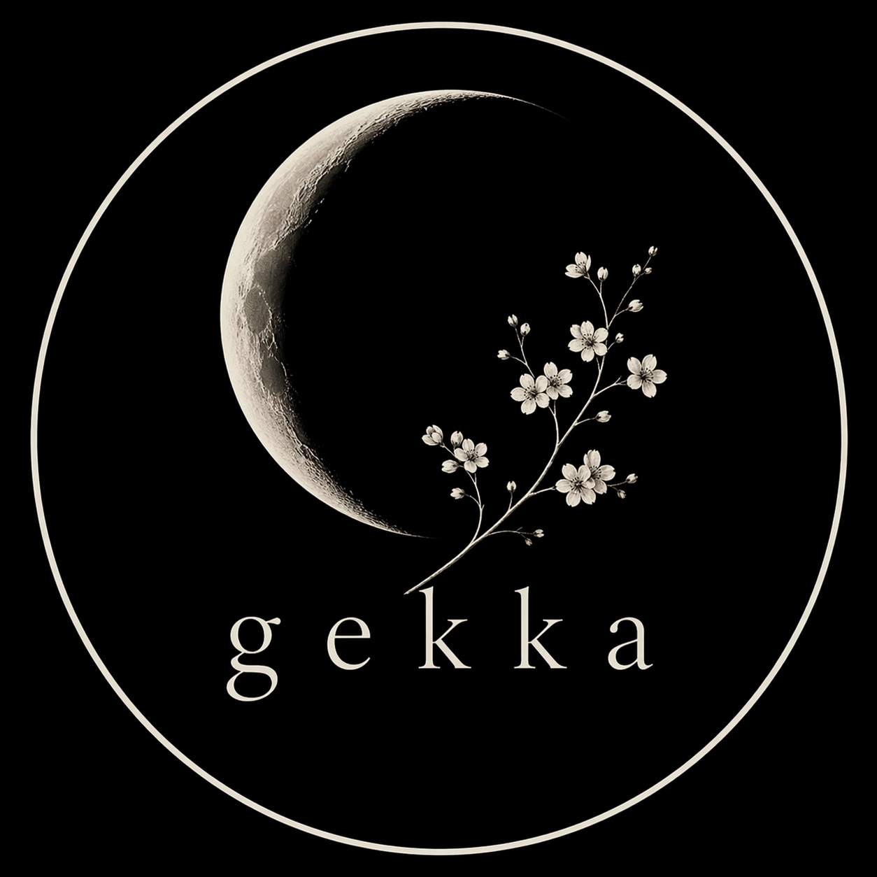 Toshiyuki K.