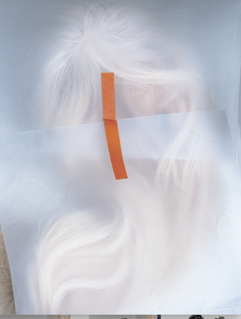 Amandine S.