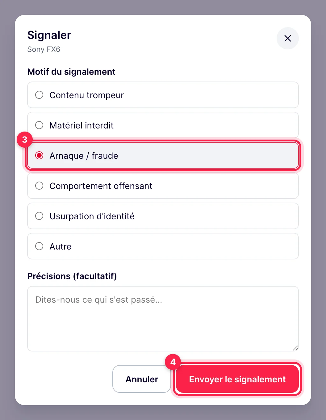 Fenêtre Signaler : motif du signalement, précisions facultatives et bouton Envoyer le signalement
